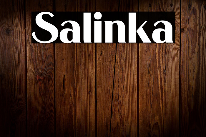 Salinka Example 1