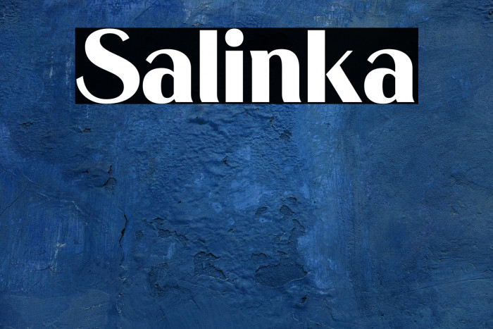 Salinka Example 2
