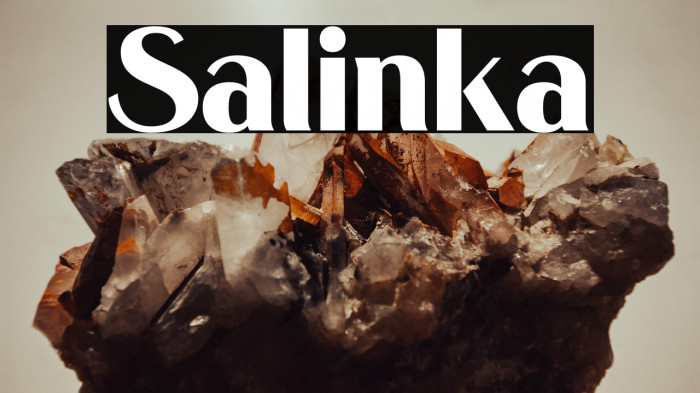 Salinka Example 3
