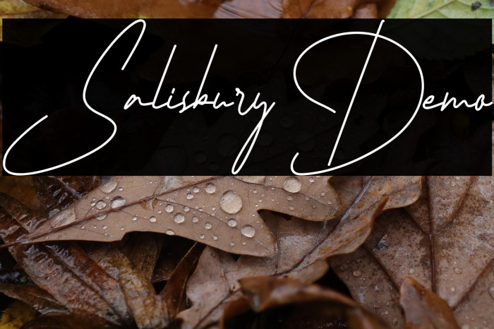 Salisbury Demo Example 1