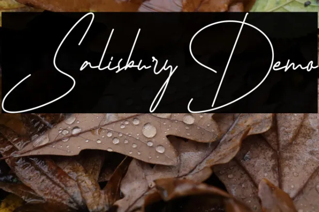 Salisbury Demo Example 1