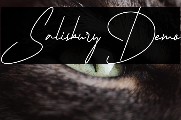 Salisbury Demo Example 2