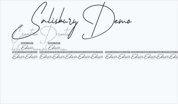 Salisbury Demo Business Card