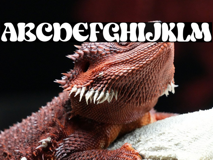 Salish Lodge Example 1