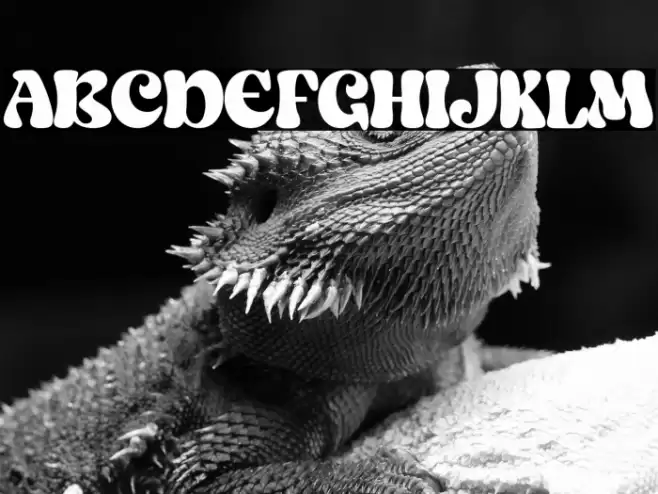 Salish Lodge Caratteri examples