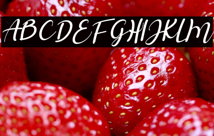 Salista Italic Example 1