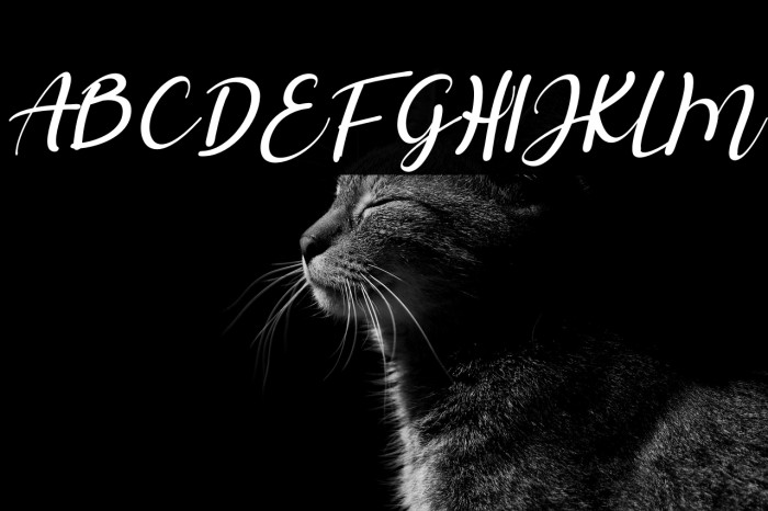 Salista Italic Example 2