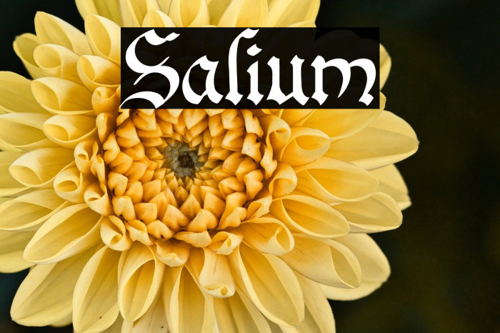 Salium Example 1