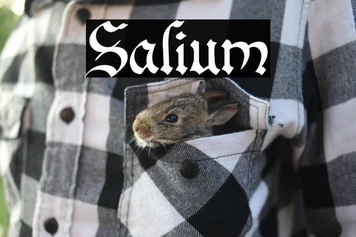 Salium Example 2