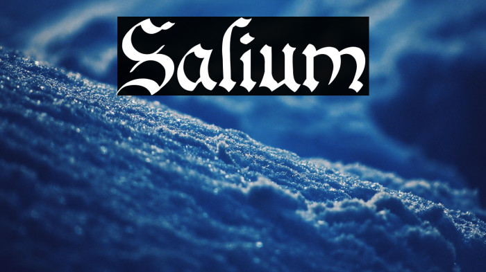 Salium Example 3