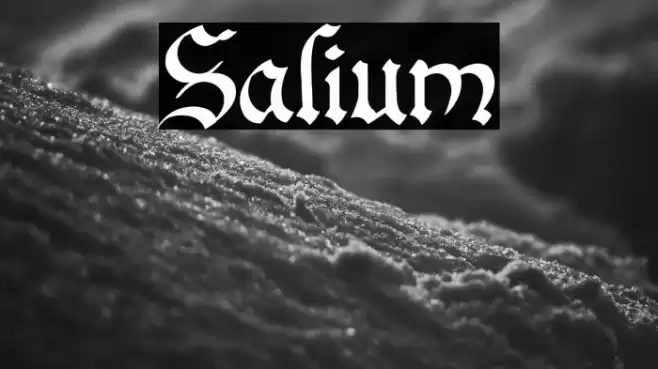 Salium Font examples