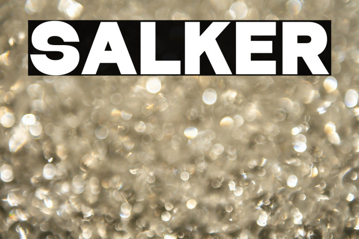 Salker Example 1