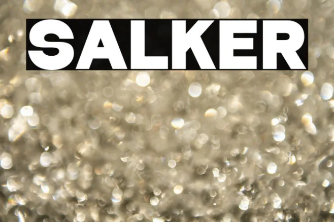 Salker Example 1