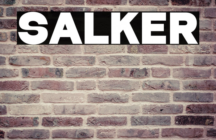 Salker Example 2