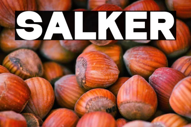Salker Example 3