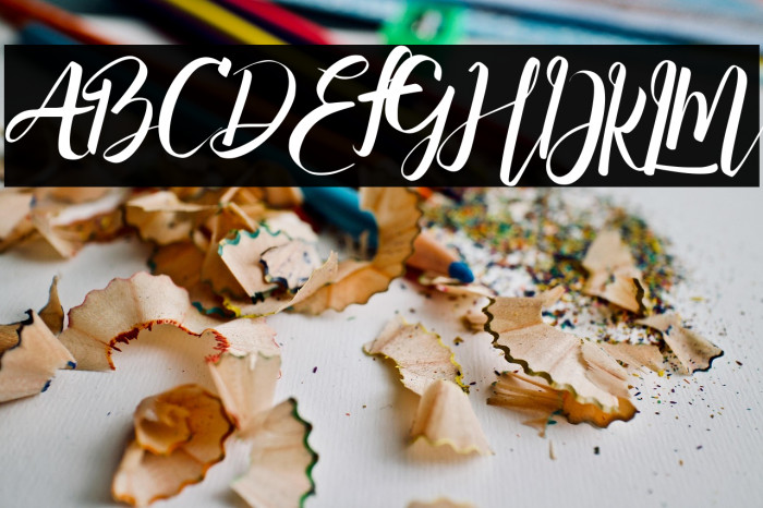 Sallas Demo Example 1