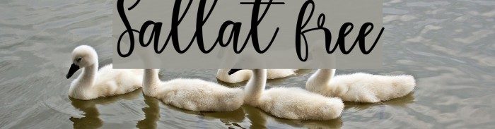 Sallat free Example 3