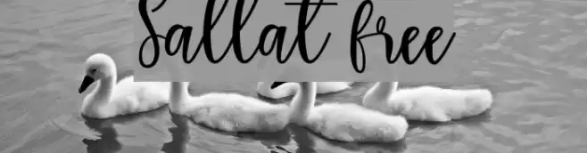 Sallat free Font examples