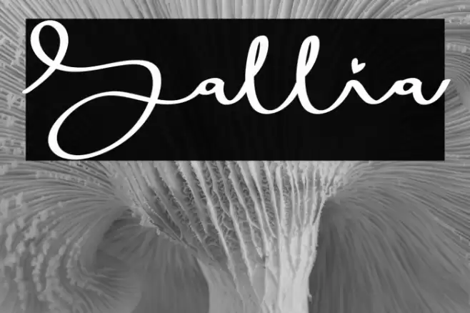 Sallia Font examples