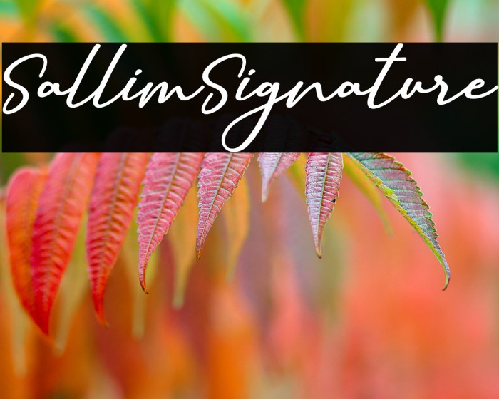SallimSignature Example 1