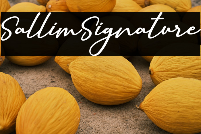 SallimSignature Example 2