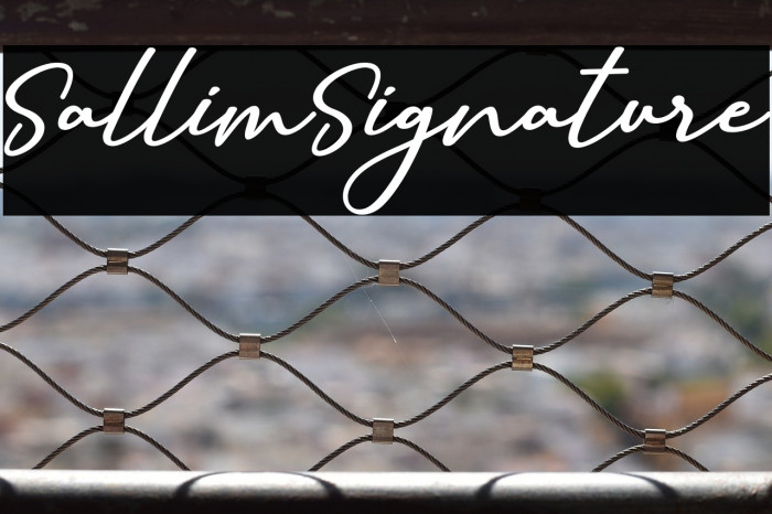 SallimSignature Example 3