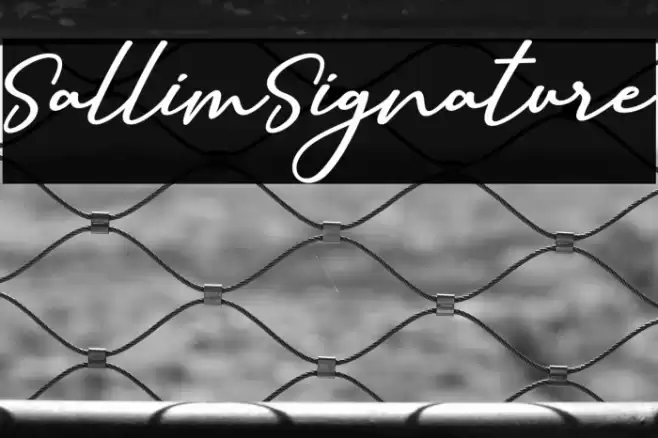 SallimSignature Polices examples
