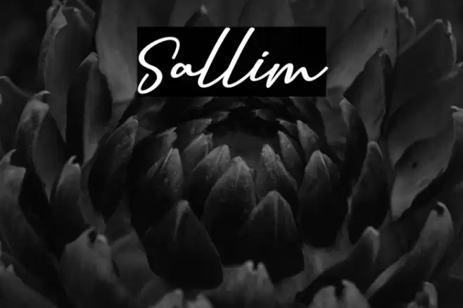 Sallim Font examples