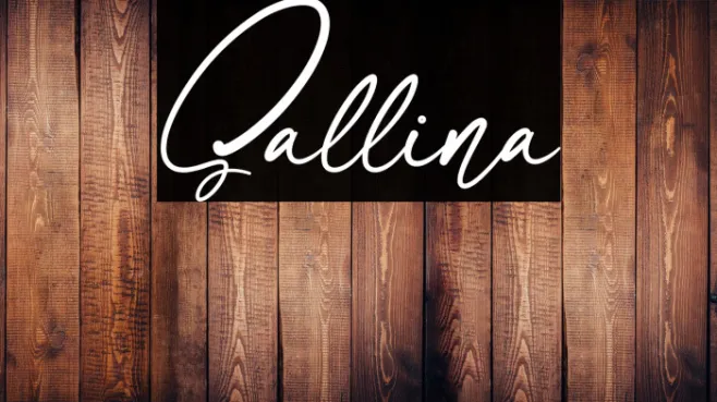 Sallina Example 1