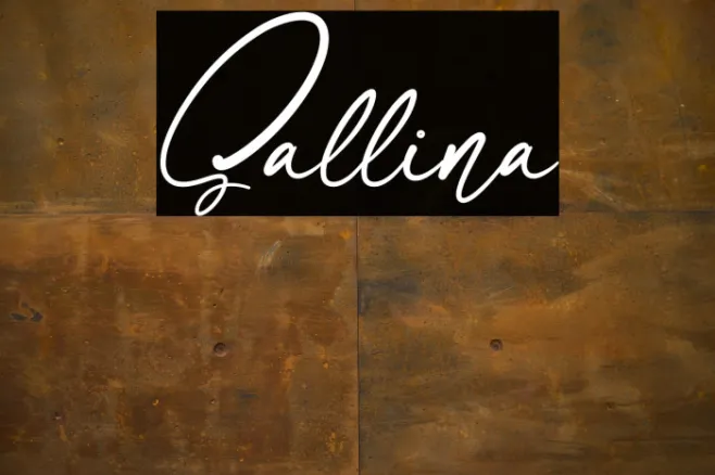 Sallina Example 2