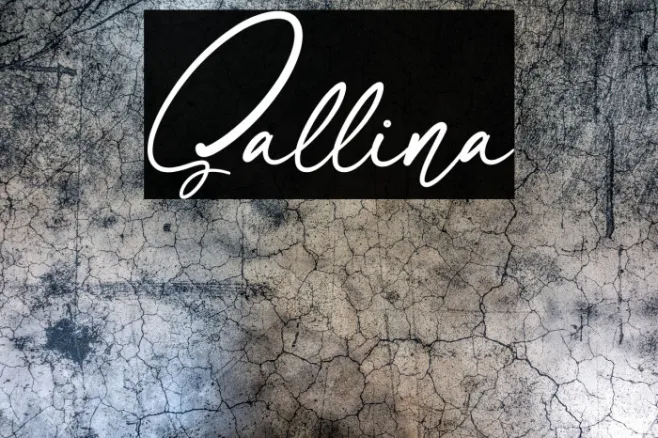 Sallina Example 3
