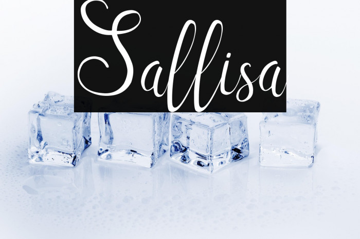 Sallisa Example 2