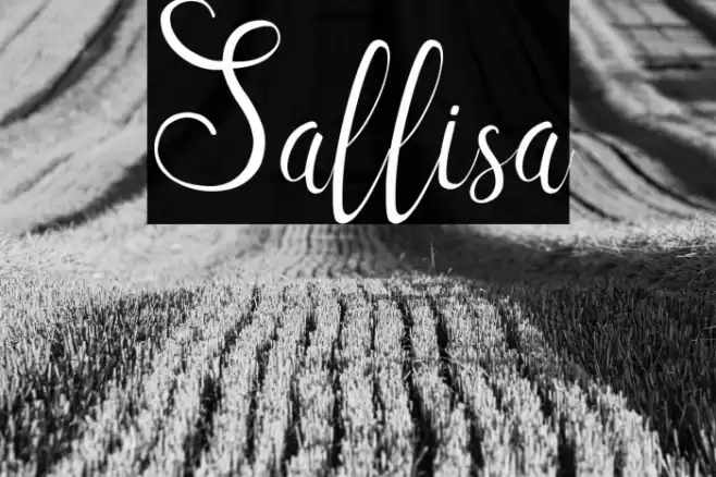 Sallisa Font examples