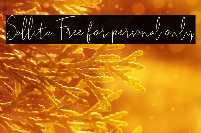 Sallita Free for personal only Example 2