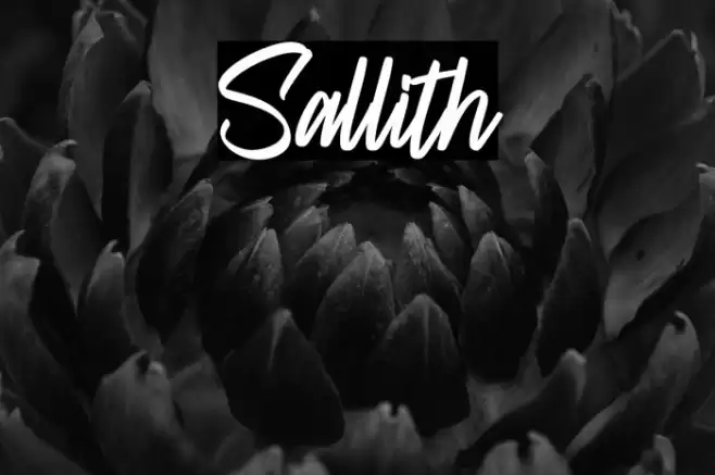 Sallith Caratteri examples