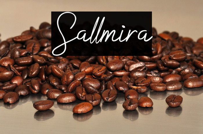 Sallmira Example 1