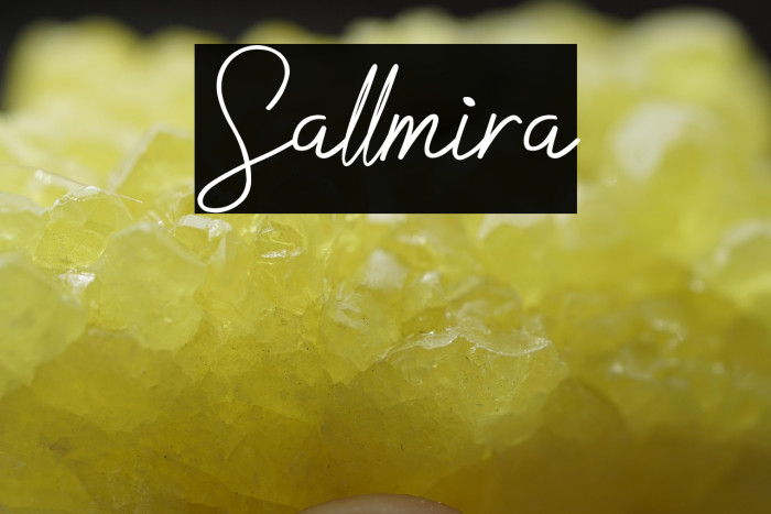 Sallmira Example 2