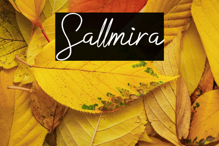 Sallmira Example 3