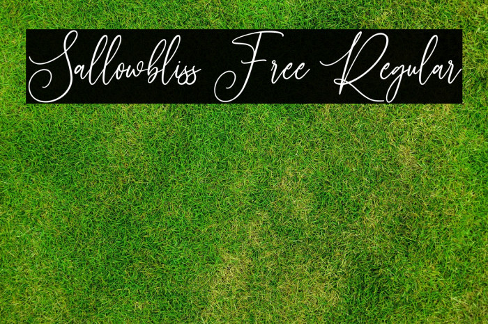 Sallowbliss Free Regular Example 1
