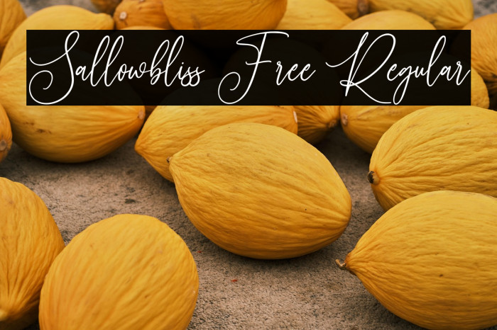 Sallowbliss Free Regular Example 2