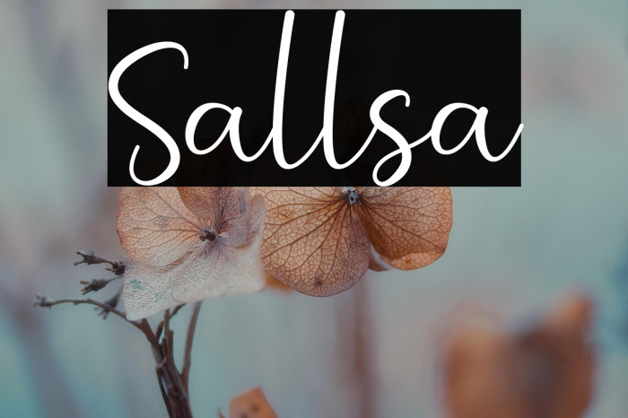 Sallsa Example 2
