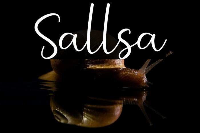 Sallsa Example 3