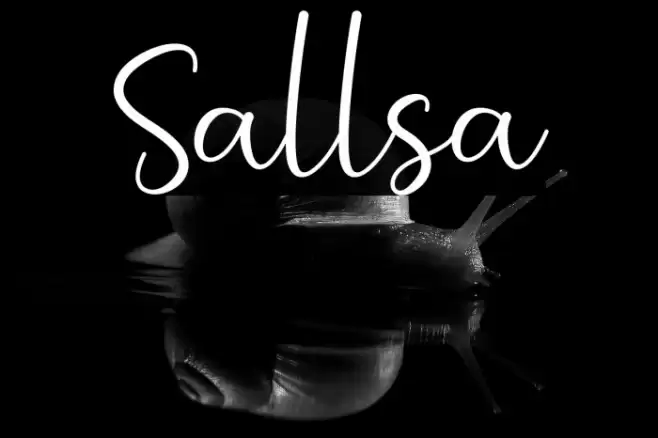 Sallsa Font examples
