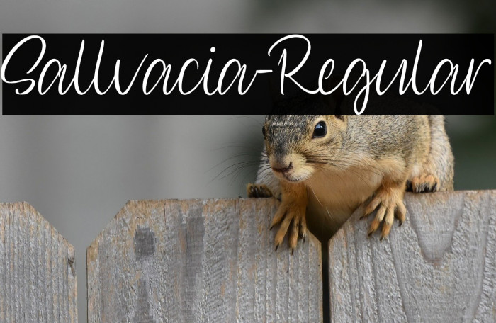 Sallvacia-Regular Example 1