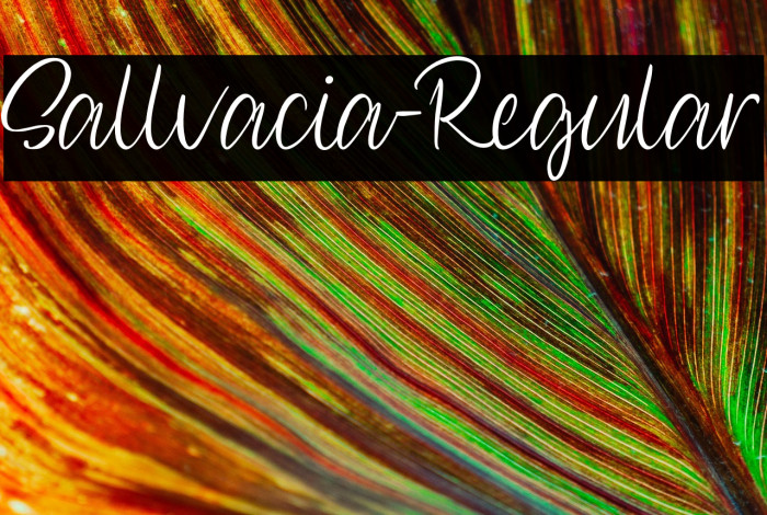 Sallvacia-Regular Example 3