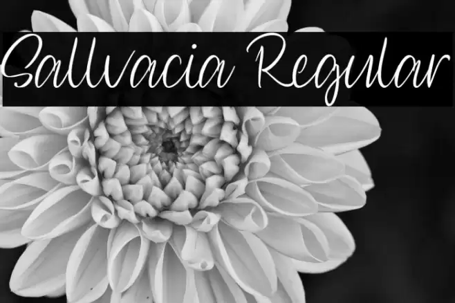 Sallvacia Regular Font examples