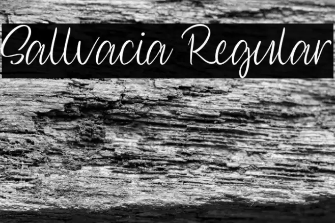 Sallvacia Regular Font examples
