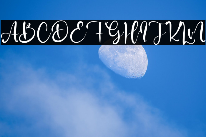 Sally Gates Example 2