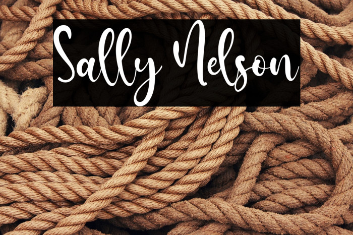 Sally Nelson Example 2