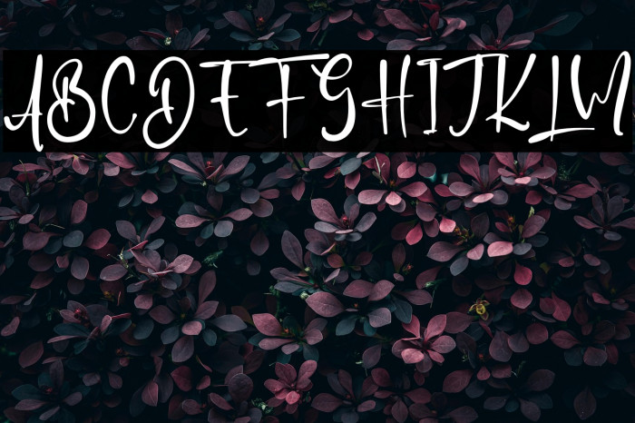 SallyNelson Example 1